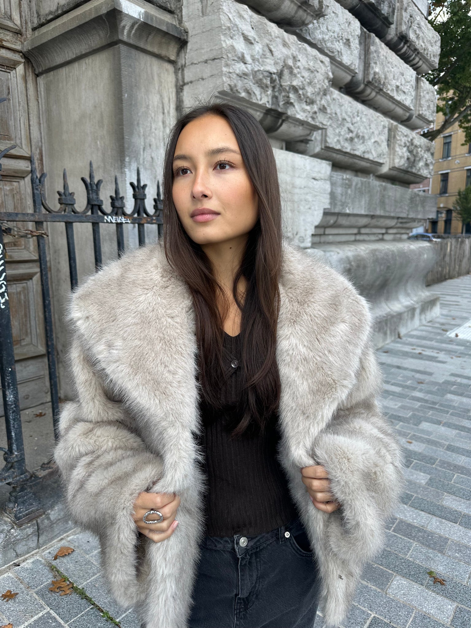 Stephanie Faux Fur Jacket