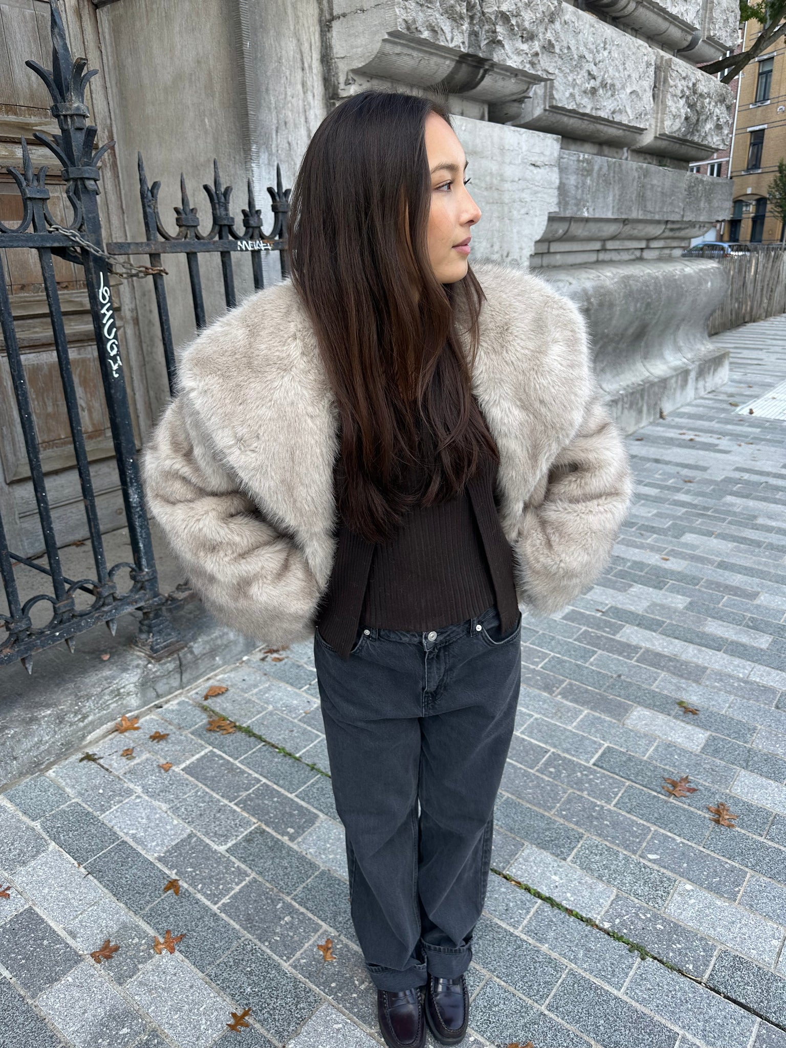 Stephanie Faux Fur Jacket