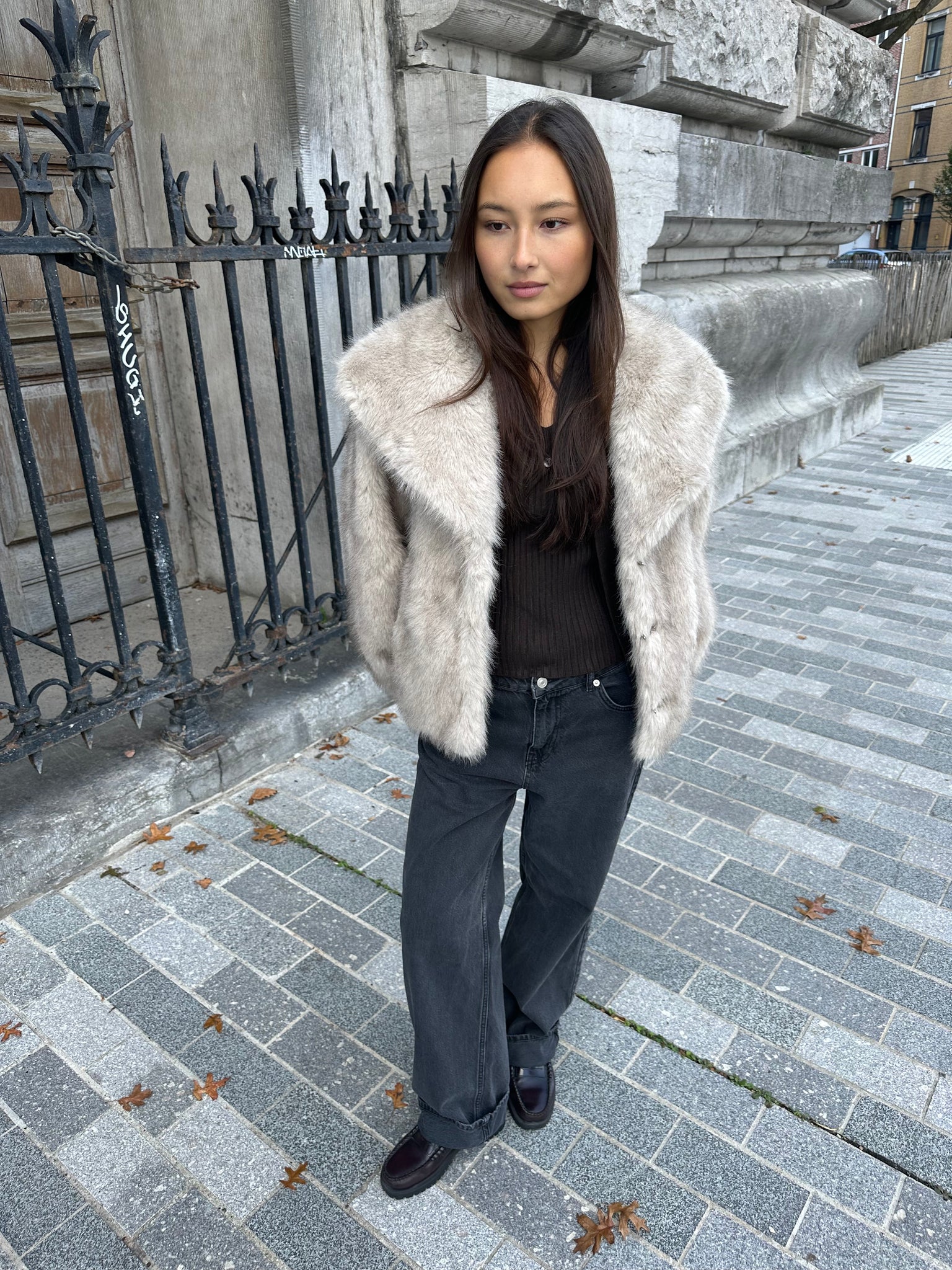 Stephanie Faux Fur Jacket